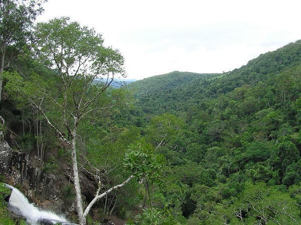 View towards Lake Baroon from Kondalilla Falls