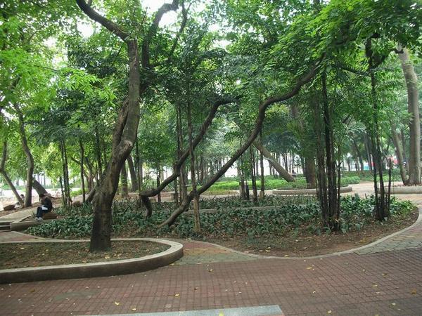 On the campus of Zhongshan