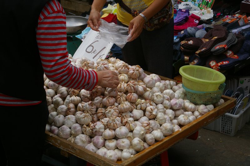 Garlic in the market