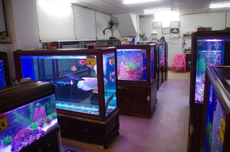 Wholesale aquarium supplies