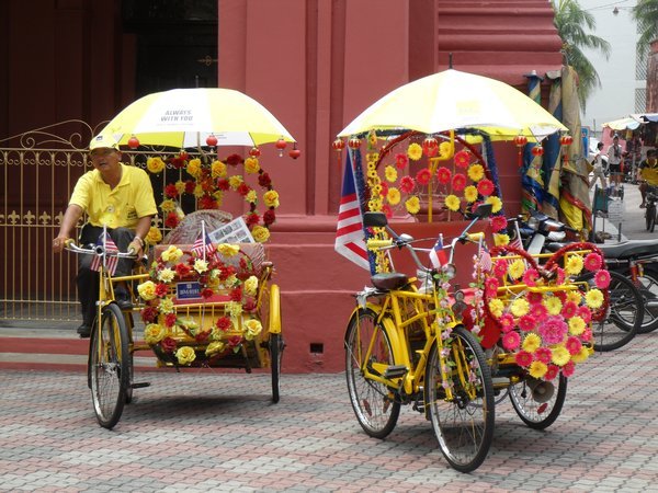 Flowery Bicycle Taxis