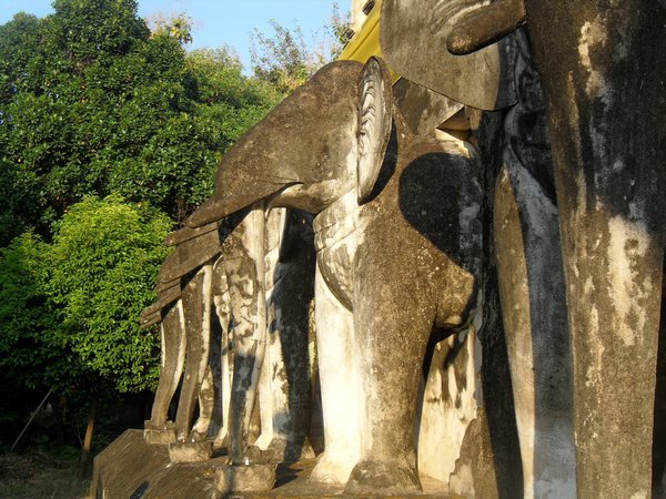 Elephants Lining Stupa