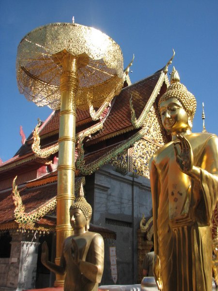 Buddha and Umbrella