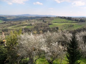 Countryside, San Gimignano