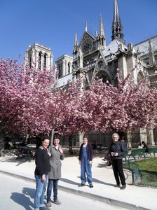 Notre Dame and Blossoms