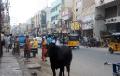 Streets of Madurai