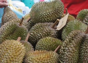 Choosing a Durian