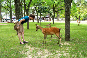 The bowing deer of Nara, 2