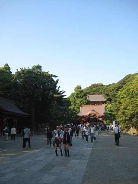 Kamakura shrine with typical Japanese schoolgirls in front