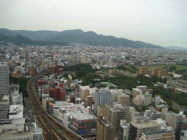 VIew of Sapporo from tower