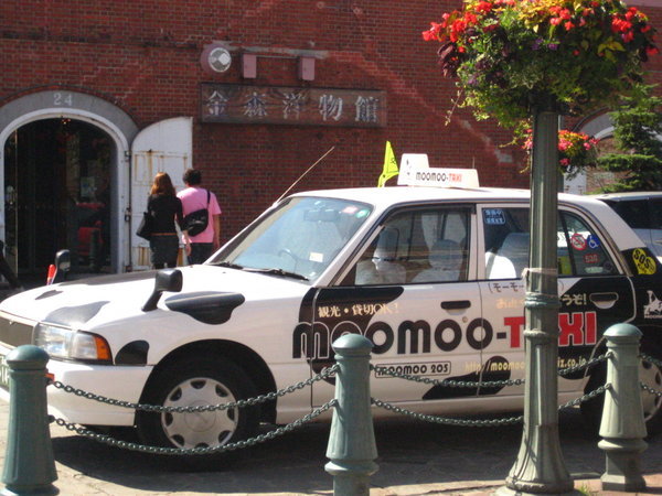A moo-moo taxi - the best idea EVER!