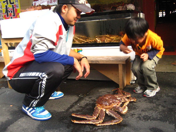 A giant crab that was very much alive, Hakodate market