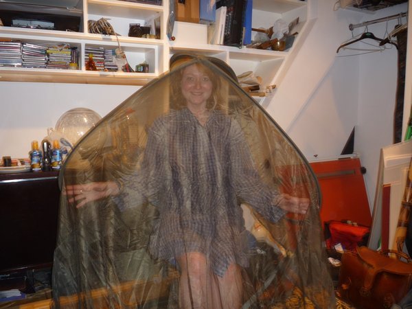 Discovering how the mosquito net works