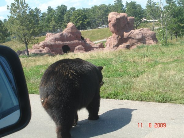 Nog beren, kwamen echt dichtbij