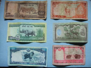 Nepali banknotes