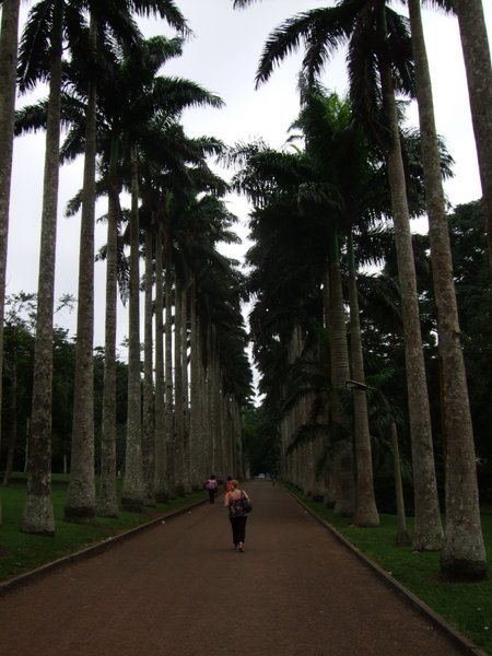 Abori Botanical Gardens