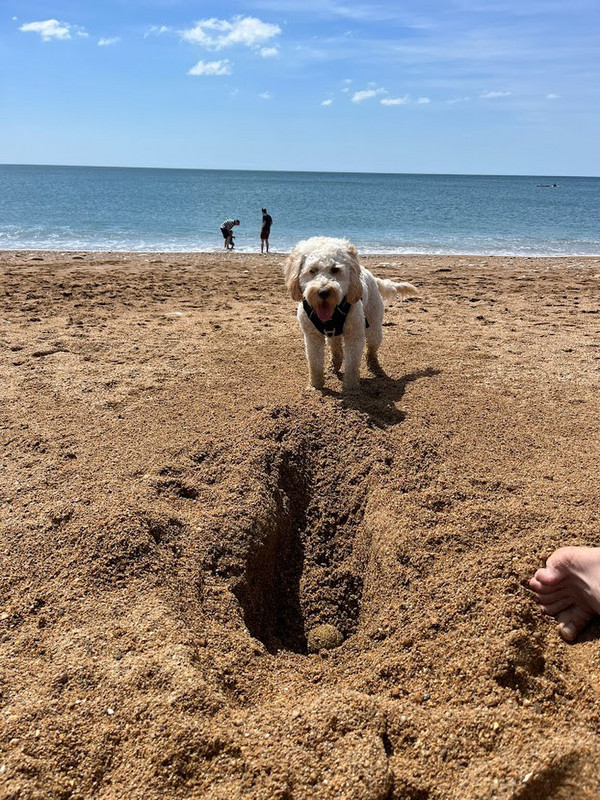 Digging to Australia