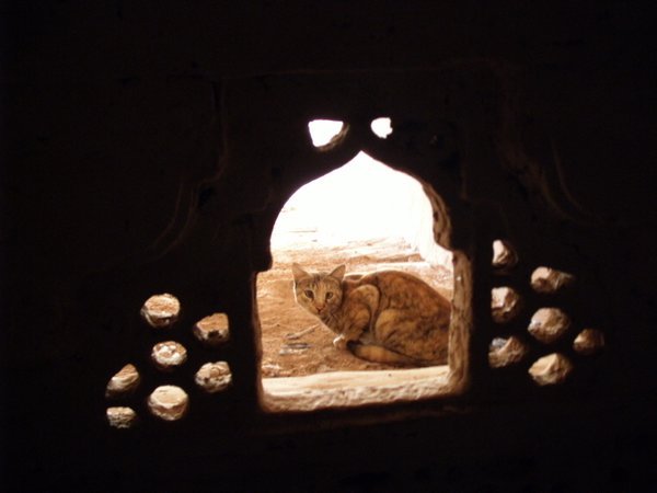 In Amber Fort