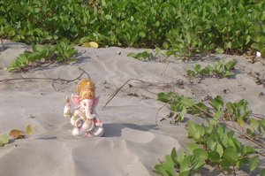 Ganesh at the beach