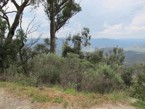 View over the Wollondilly