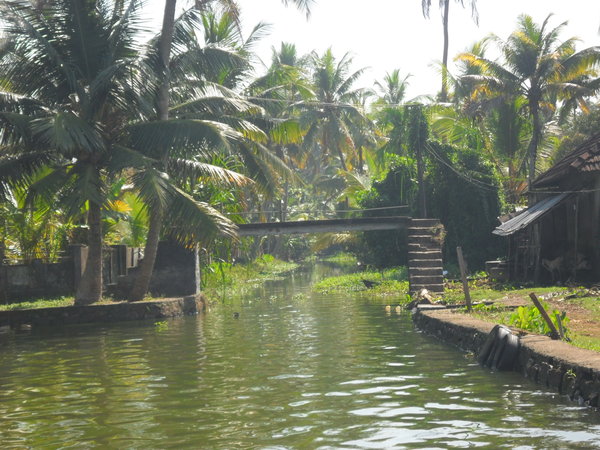 Kerala backwaters