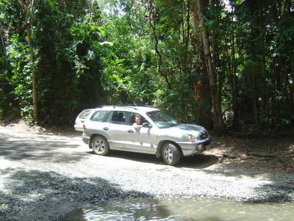 Driving in the Daintree Nat Park!