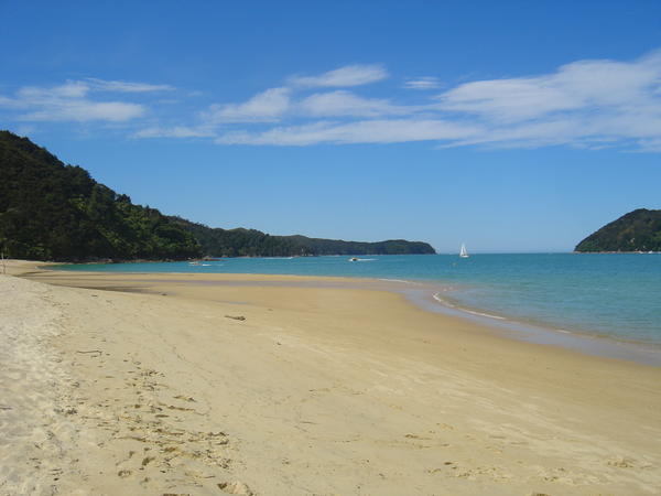 Nice beach in Abel Tasman