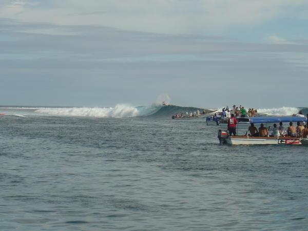 All the boats approching the surfer..to take pictures!