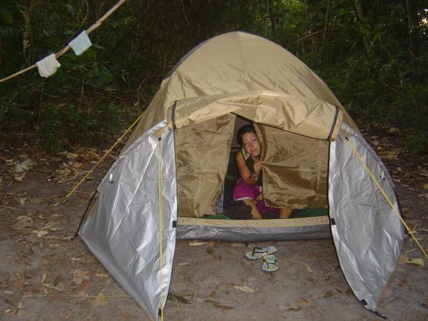 Camping at 10 meters of Cape Tribulation Beach!