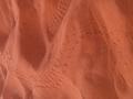 the red sand of the desert