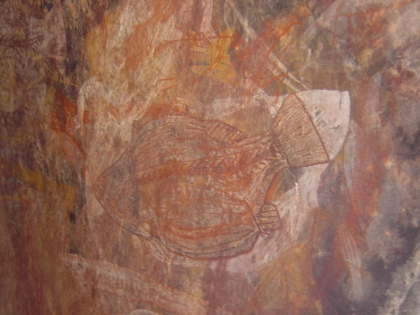 Aboriginal painting: a Barramudi fish (taste good!)