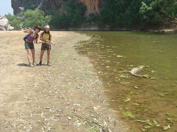 You're right... yep.. we're standing just at 2 meters of the crocodile!