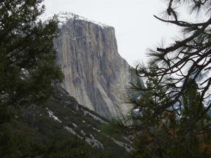 Yosemite National Grimness