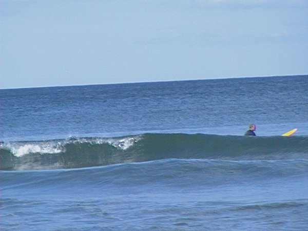 Surfer at Hot Water Beach