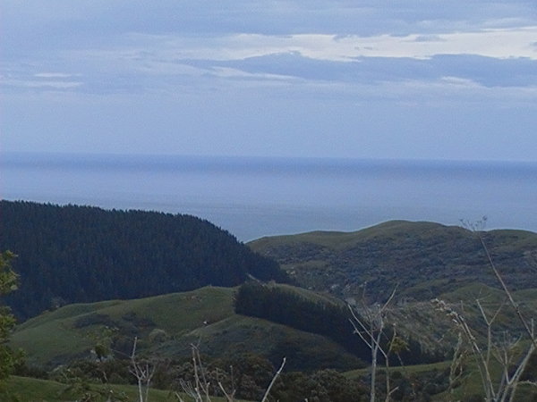 A View Along the Way to Gisborne