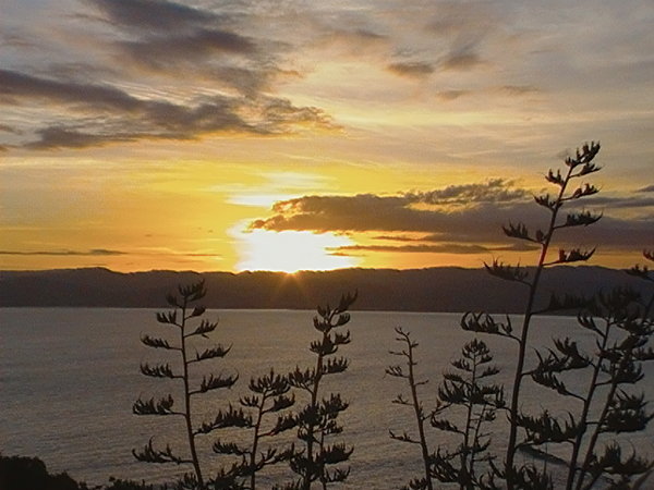 Another Sunset over Gisborne Pic