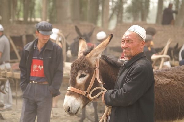 Man with his new donkey