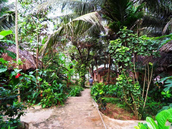 Unser Bungalow Hotel im Dschungel und auch direkt am Strand