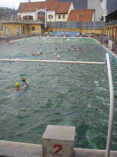 The pool is the oldest 50 meter pool in Hungary, built in 1938.