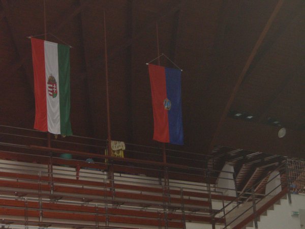 Flags in the rafters of the pool.