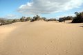 The Sand Dunes at Maspalomas