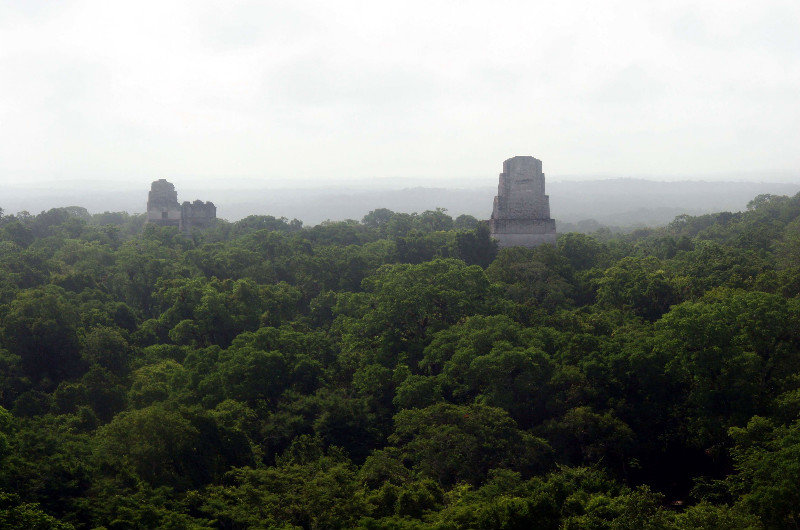 The View From The Top Of Temple IV