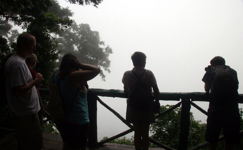 At The Viewpoint In The Cloud Forest