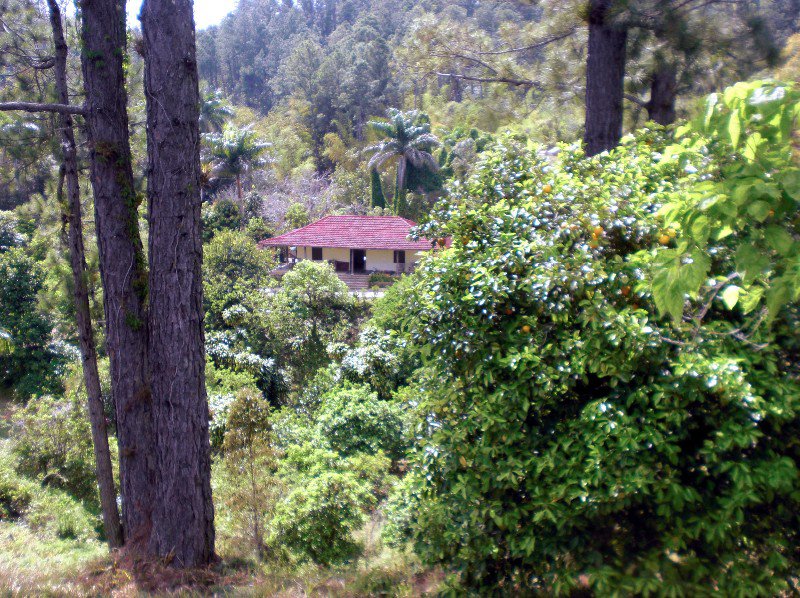 The Hacienda At Codina