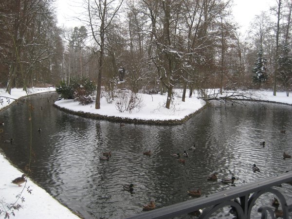 Furstenberg palace park