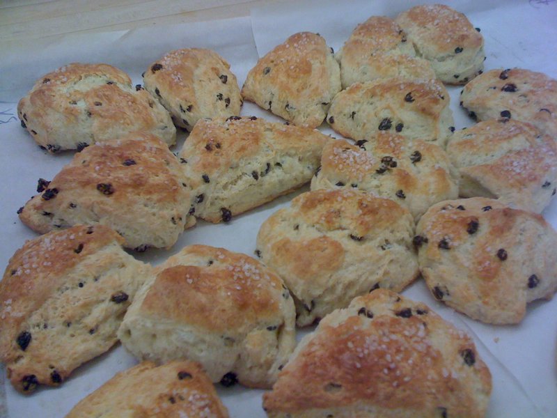 Tea biscuits or scones