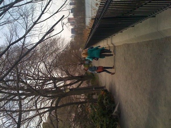 Strolling in Central Park