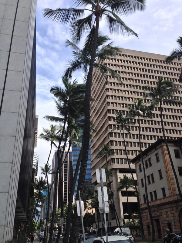 Honolulu downtown