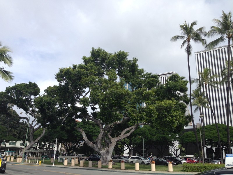 Honolulu, near Aloha Tower