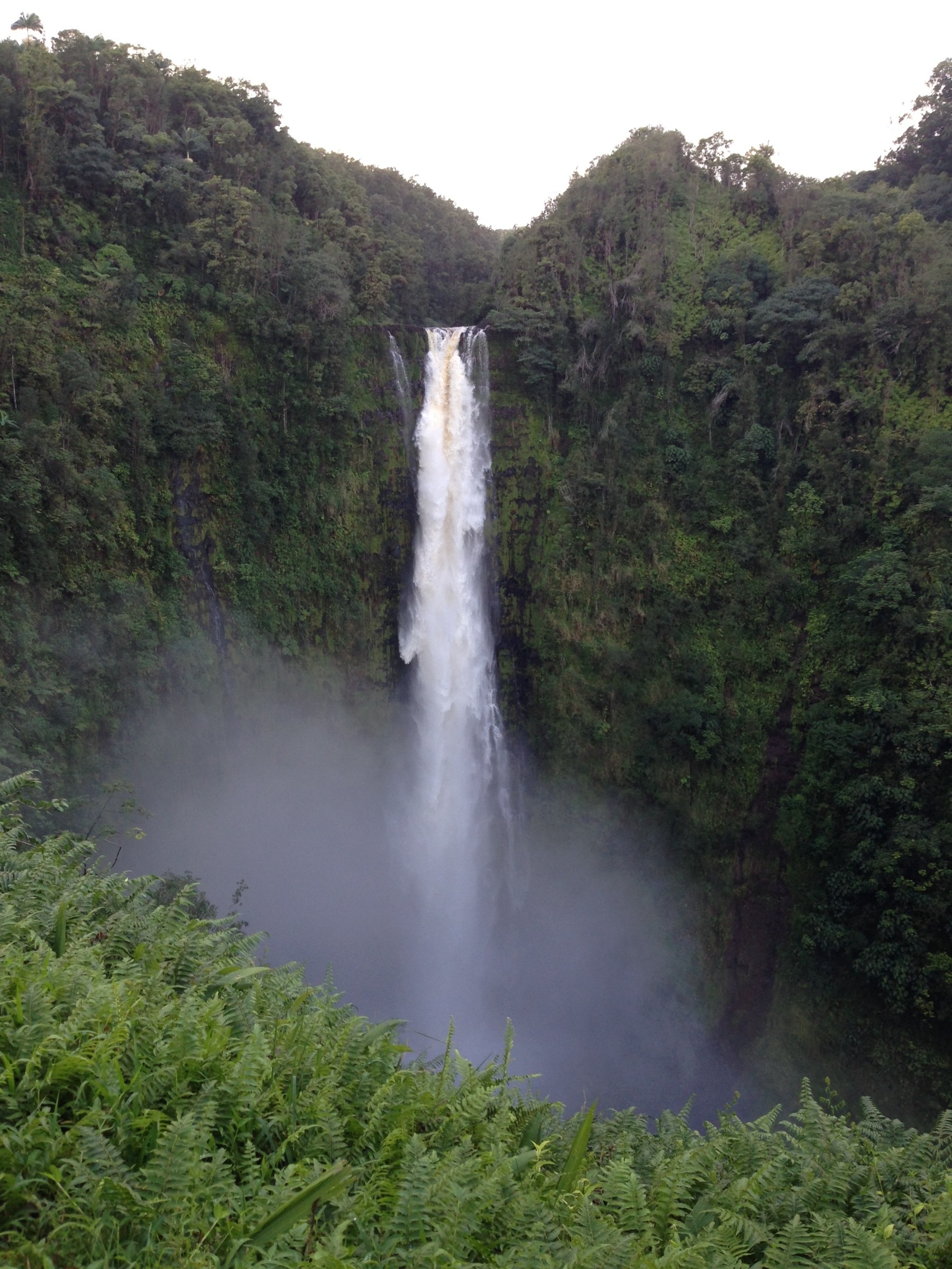 Akaka falls | Photo